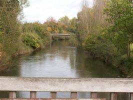 herbstlaubfahrt leine2017-10