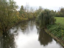 herbstlaubfahrt leine2017-10