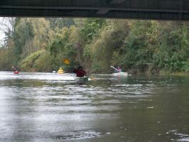 herbstlaubfahrt leine2017-10