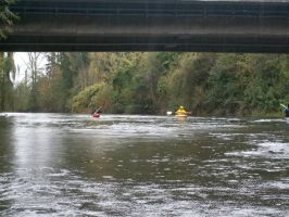 herbstlaubfahrt leine2017-10